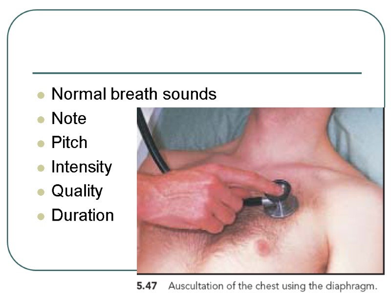 Normal breath sounds Note  Pitch  Intensity  Quality  Duration